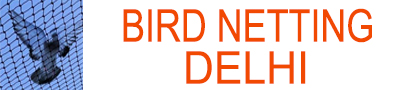 birdnettingdelhi